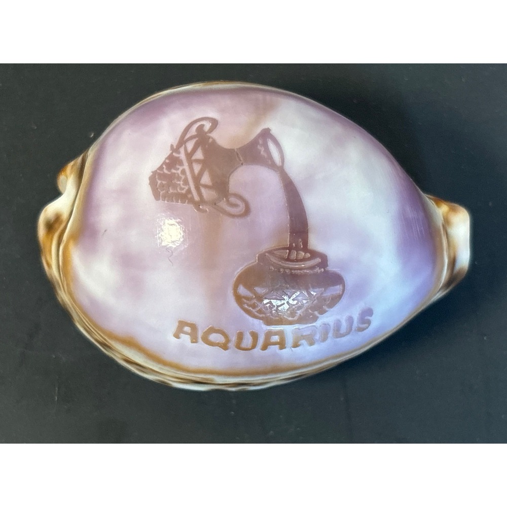 Vintage Aquarius Zodiac Etched Tiger Cowrie Shell Purple Astrology Ocean Decor
